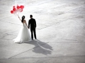 Wedding Photographer